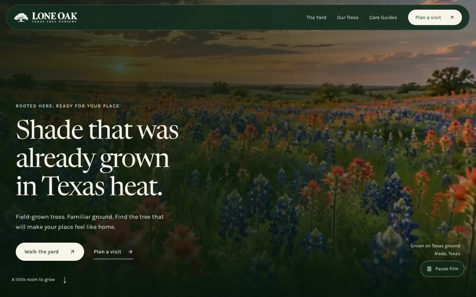 The Lone Oak Texas Tree Nursery homepage: shade trees over a field of wildflowers.